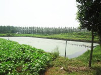 企業(yè)環(huán)境